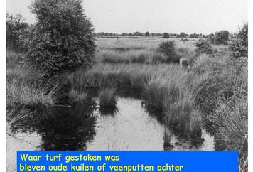08. Een uitgeturfde kuil