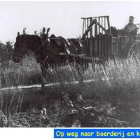 57. Met turf naar huis