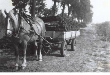 63. Na 1945 op luchtbanden