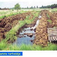 66. Zo lag het gepachte turfveldje erbij