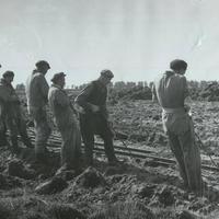 68. Ontginning en ruilverkaveling