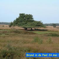 73. De brand van 1991