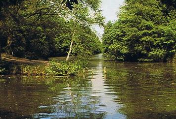 79. Turf gaf Meijel de kanalen, de Zwaai