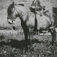 'Wiese Koob' Verschaeren