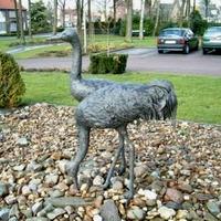 De Kraanvogels