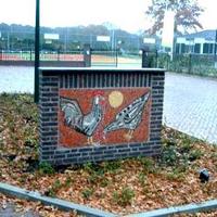 Haan en Kip