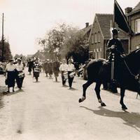Is.55.b1jt.04 OLS Paard